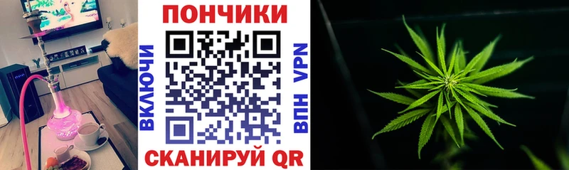 Бошки Шишки планчик Сысерть